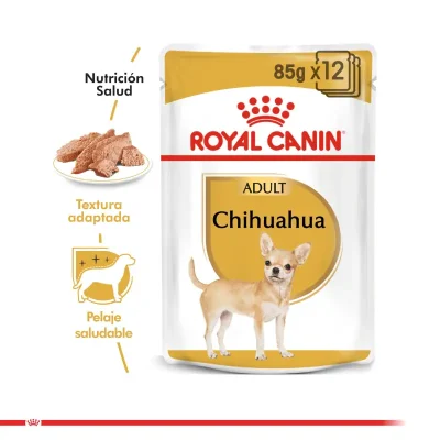 پوچ رویال کنین سگ مدل شیواوا Chihuahua