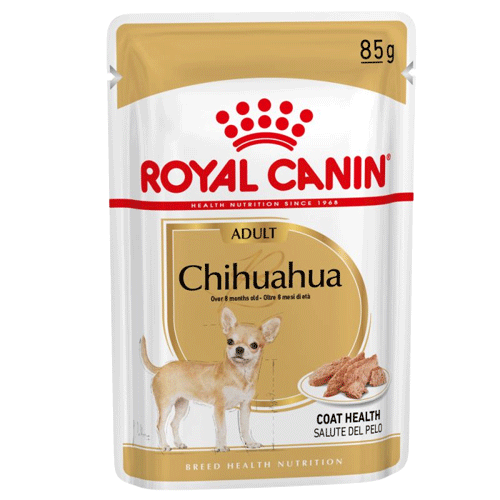 پوچ رویال کنین سگ مدل شیواوا Chihuahua