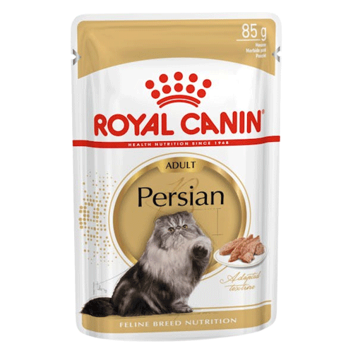پوچ گربه بالغ پرشین رویال کنین Royal canin persian